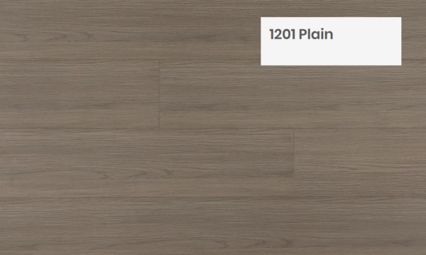 Plain