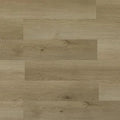 TFSPC254-F | NUTMEG