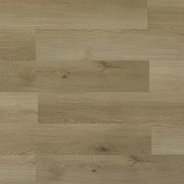 TFSPC254-F | NUTMEG