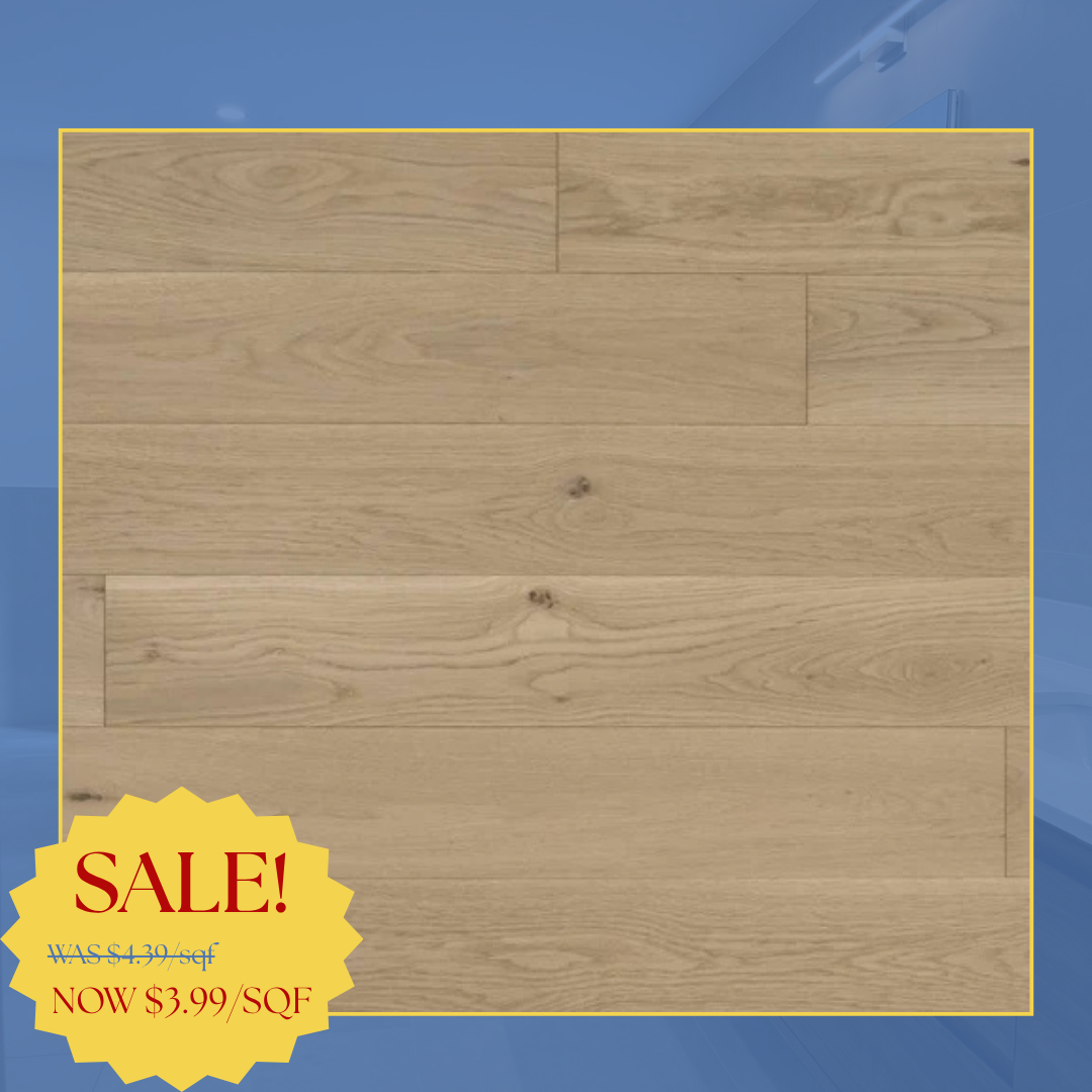 6" AM OAK "MACAROON" (ABCD GRADE)