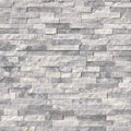 ALASKA GRAY 6 x 24 STONE