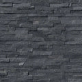 COAL CANYON 6 x 24 STONE