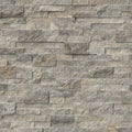 SILVER TRAVERTINE 6 x 24 STONE