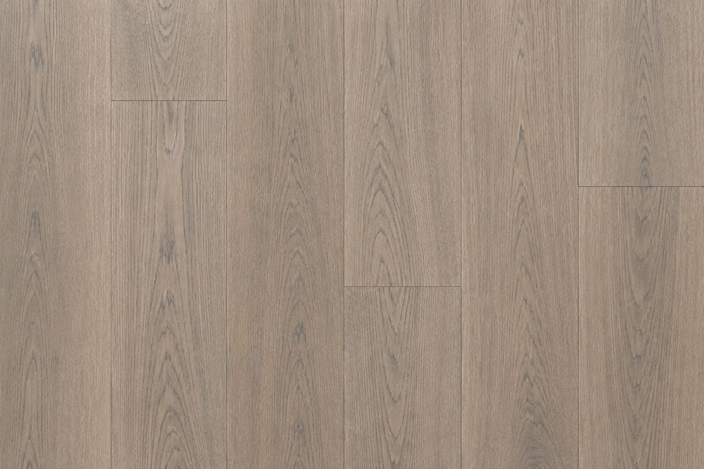 MODERN GREY