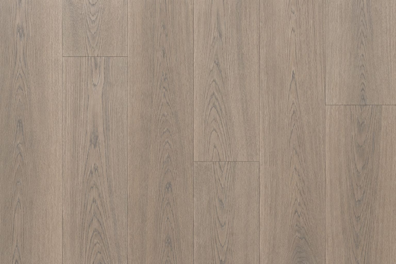 MODERN GREY