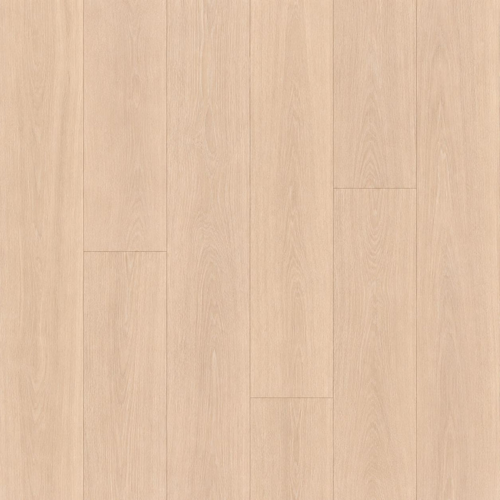 6" WHITE ASH "SANDY" (AB GRADE)