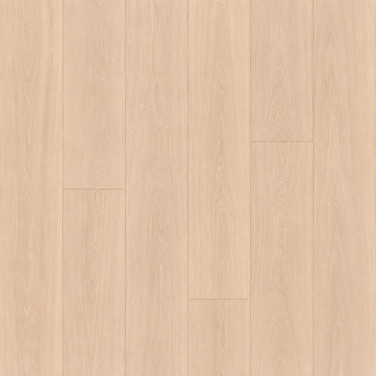 6" WHITE ASH "SANDY" (AB GRADE)