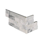 ALASKA GRAY 6 x 24 STONE