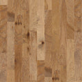 Sequoia